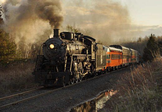 929126 (a): :2048x1414